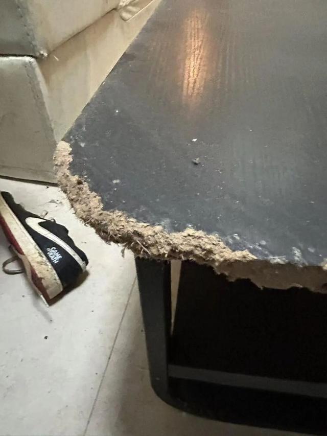 V体育入口-女租户失联，房屋散发恶臭被严重损坏，昆明房东报警：损失预估2万以上，她曾自称刚毕业，手头紧；物业：屋内狗彻夜狂叫，邻居曾报警